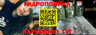 ешки Сланцы